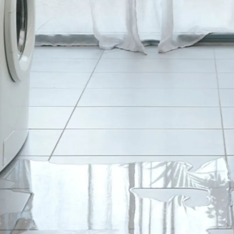 Appliance Leak Cleanup in Charlestown, IN
