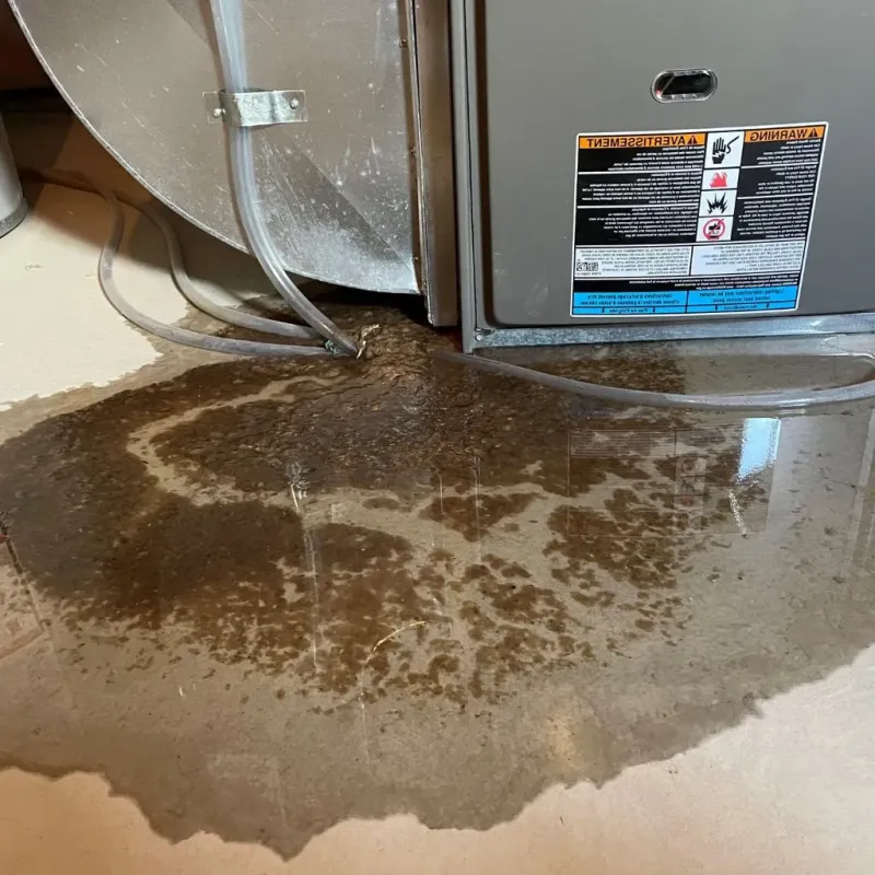 Pipe Burst and Leak Restoration in Charlestown, IN
