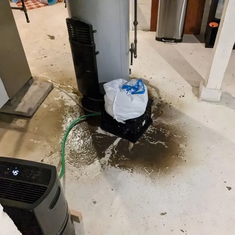 Sewage Backup Cleanup Service in Charlestown, IN